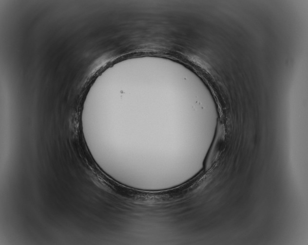 X0000086881355200705071153