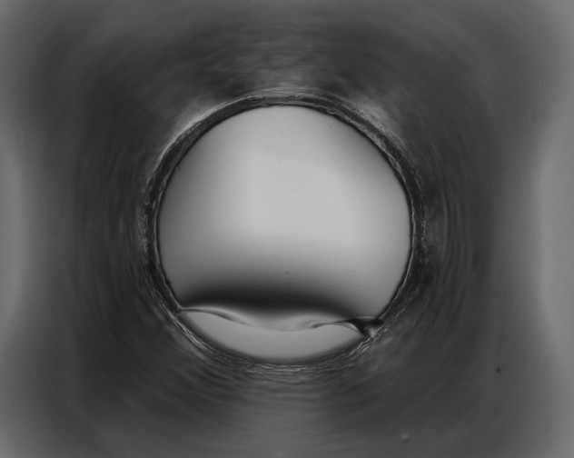 X0000086881356200705071153