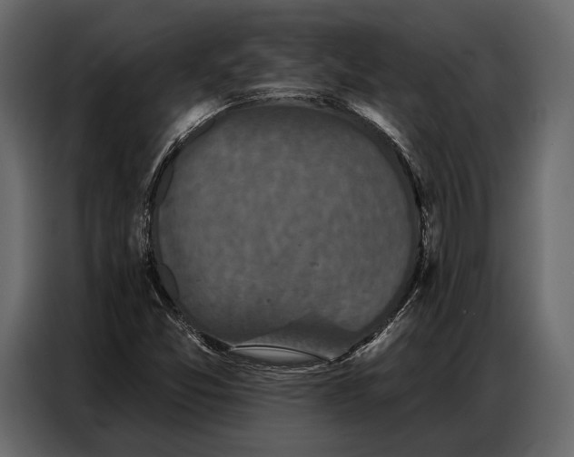 X0000086881357200705071153