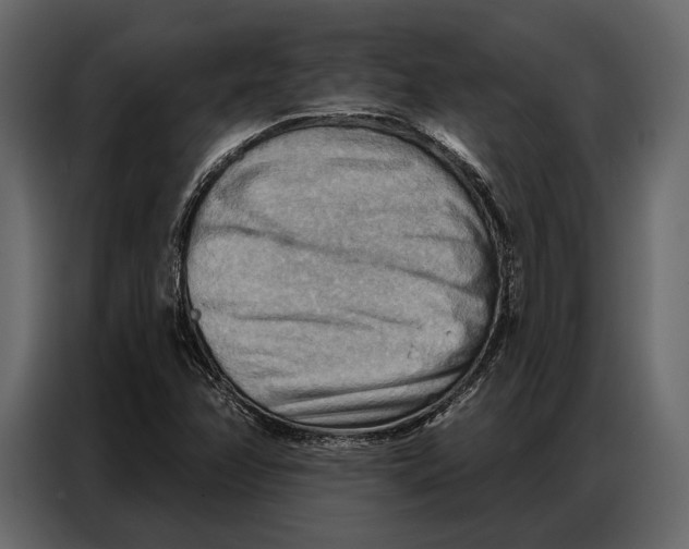 X0000086881358200705071153