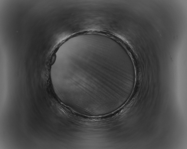 X0000086881359200705071153