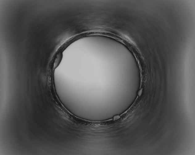 X0000086881360200705071153