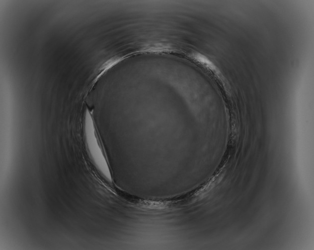 X0000086881361200705071153