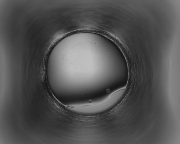 X0000086881363200705071153