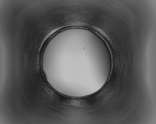 X0000086881364200705071153