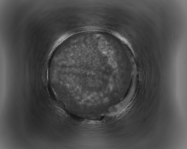 X0000086881365200705071153