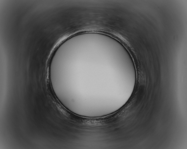 X0000086881366200705071153