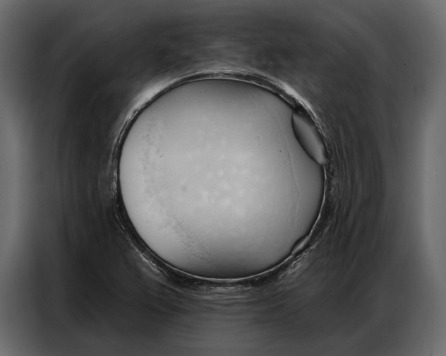 X0000086881367200705071153