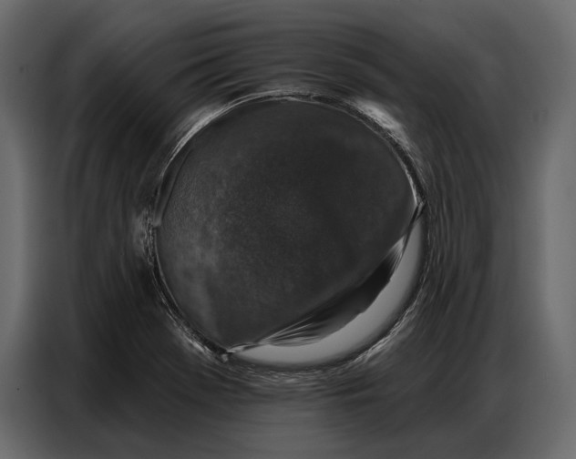 X0000086881369200705071153