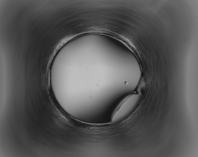 X0000086881371200705071153