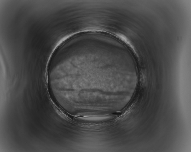 X0000086881372200705071153