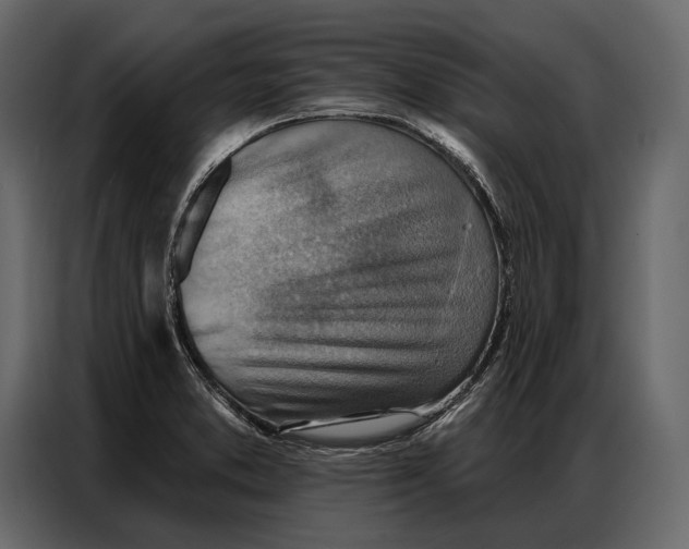 X0000086881373200705071153