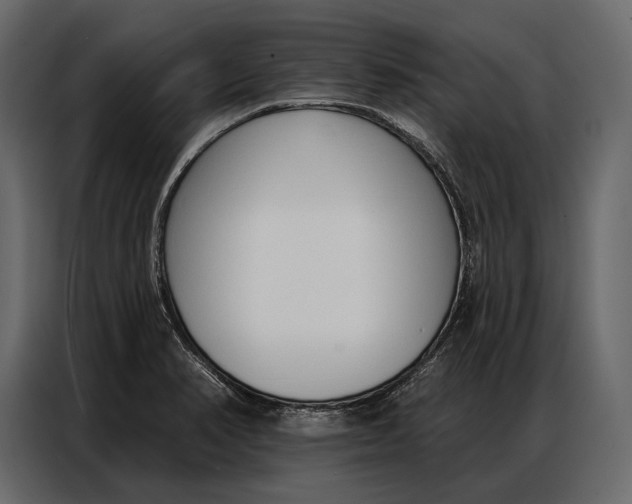 X0000086881374200705071153