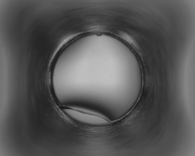 X0000086881376200705071153