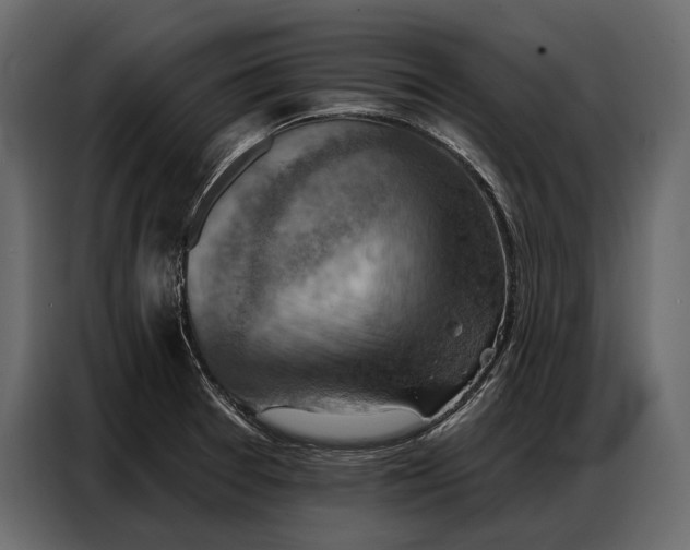 X0000086881377200705071153