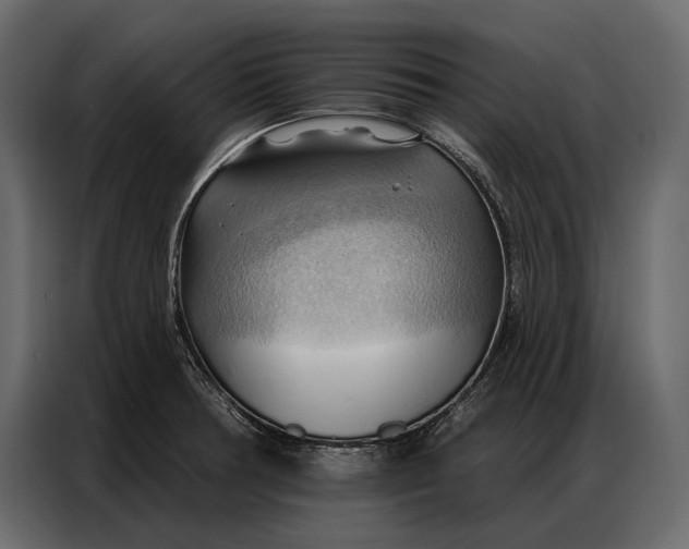 X0000086881378200705071153