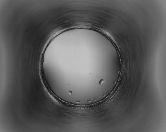 X0000086881379200705071153