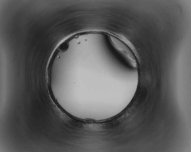 X0000086881380200705071153