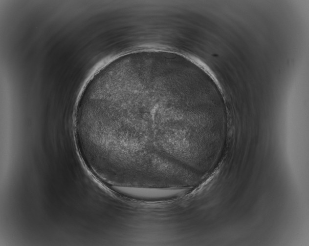 X0000086881381200705071153