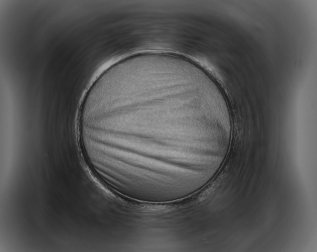 X0000086881382200705071153