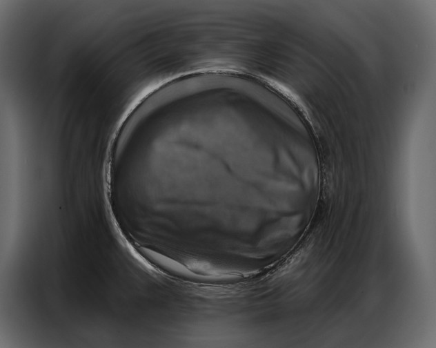 X0000086881383200705071153