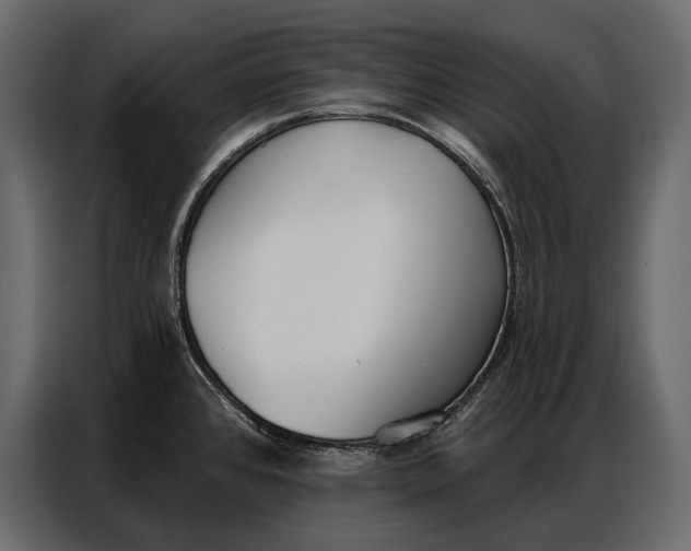 X0000086881384200705071153