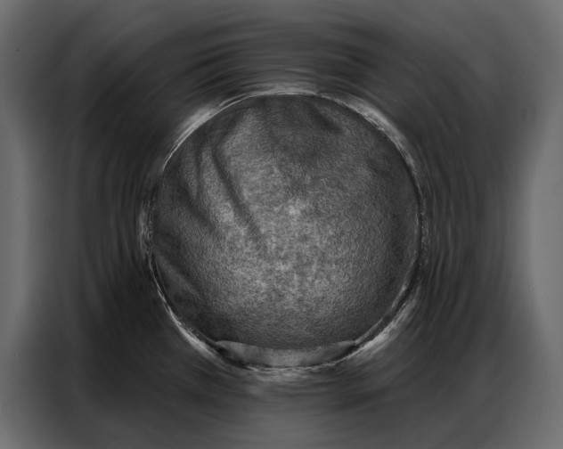 X0000086881385200705071153