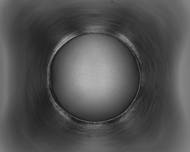 X0000086881386200705071153