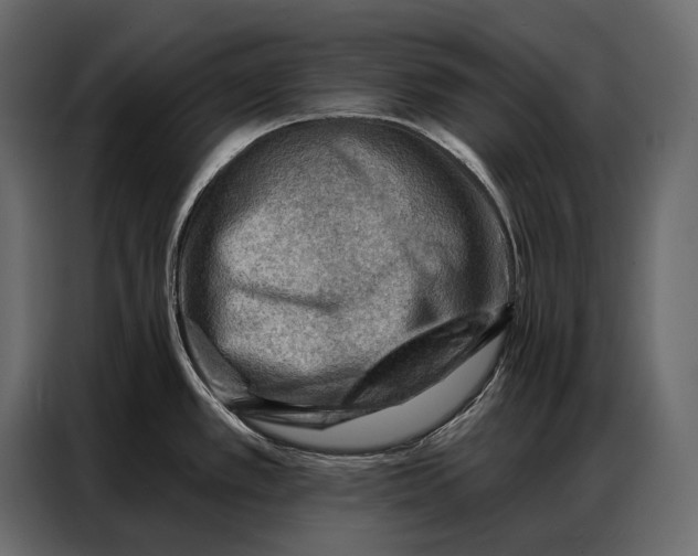 X0000086881389200705071153