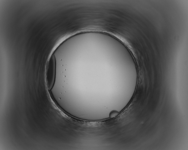 X0000086881390200705071153