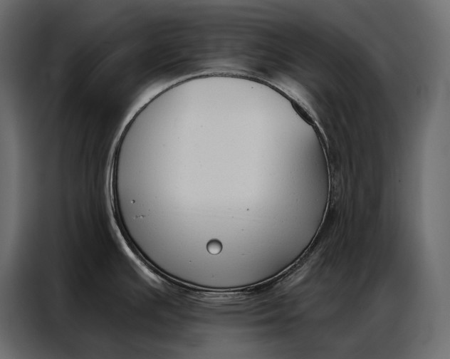 X0000086881391200705071153