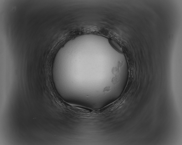 X0000086881393200705071152