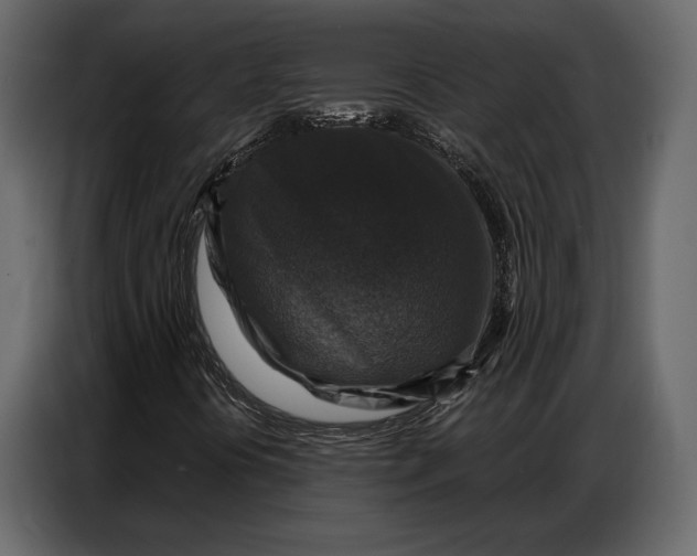 X0000086881394200705071152