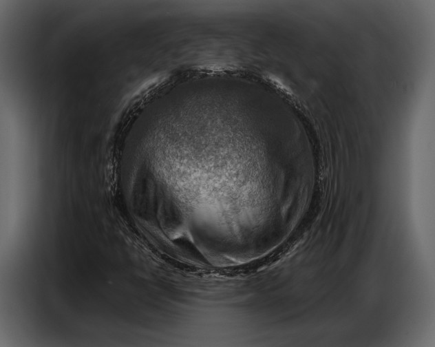 X0000086881398200705071152