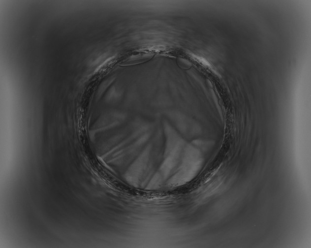 X0000086881399200705071152