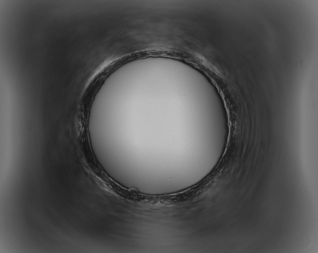 X0000086881400200705071152