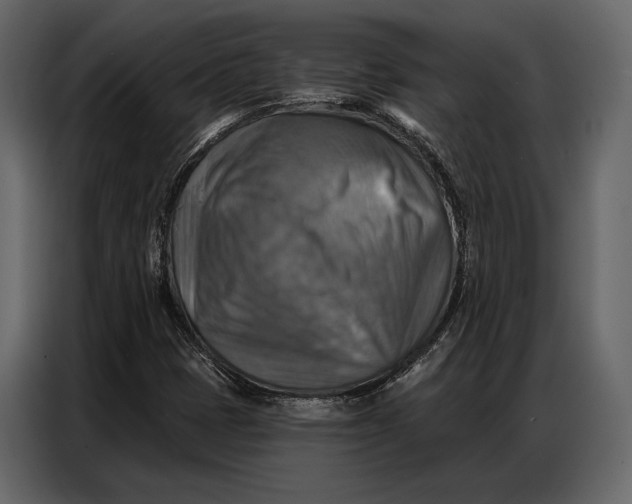 X0000086881401200705071152