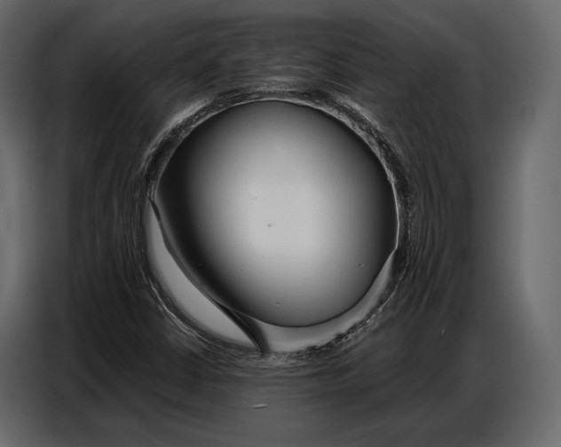 X0000086881402200705071152