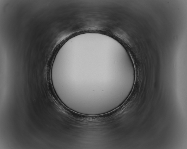 X0000086881404200705071152