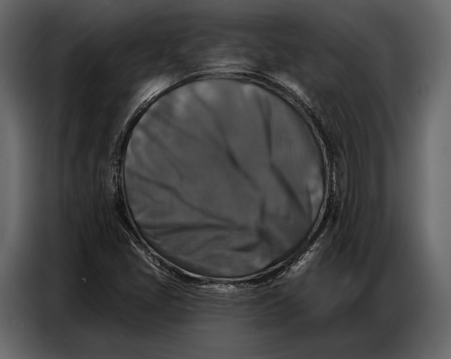 X0000086881405200705071152