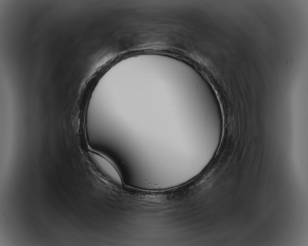 X0000086881406200705071152