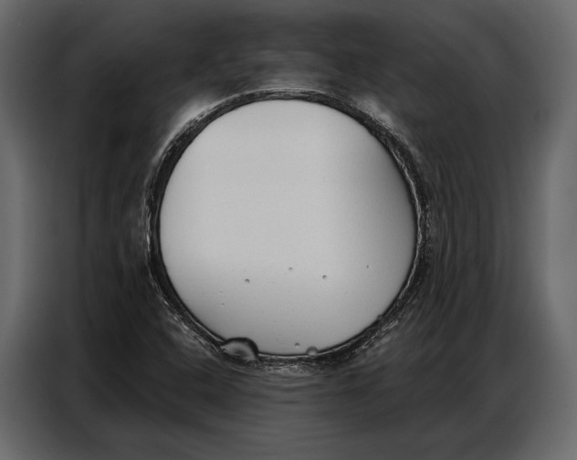 X0000086881408200705071152