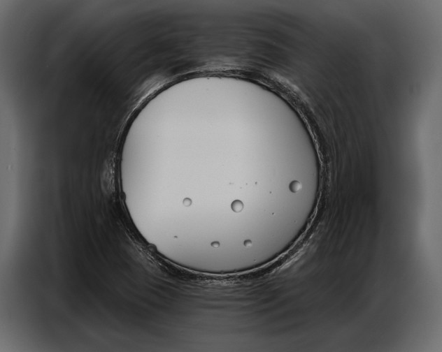 X0000086881409200705071152