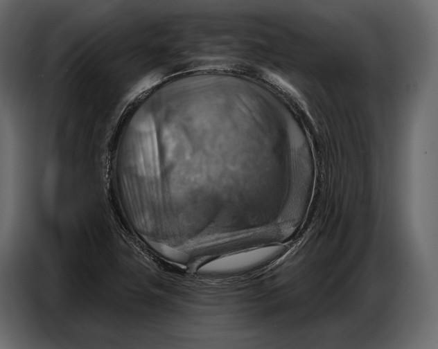 X0000086881411200705071152