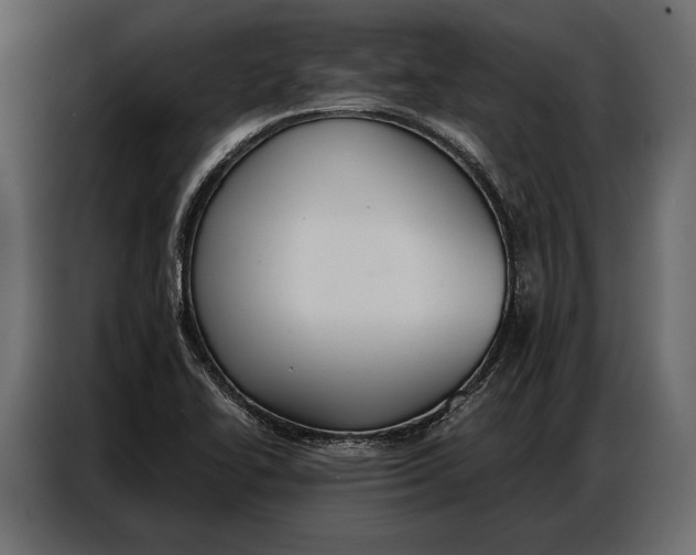 X0000086881414200705071152