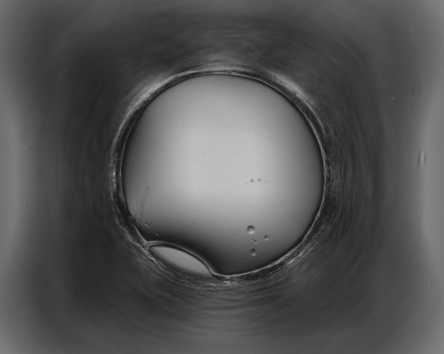 X0000086881415200705071152