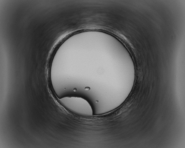 X0000086881416200705071152