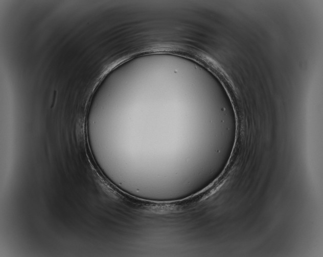 X0000086881417200705071152