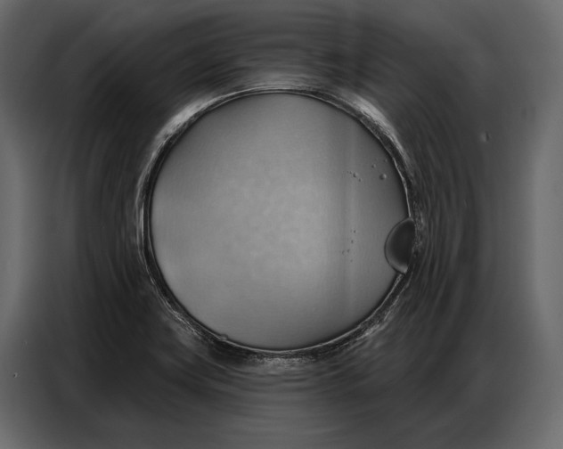 X0000086881419200705071152