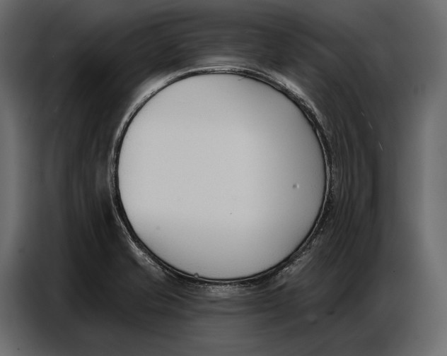 X0000086881421200705071152